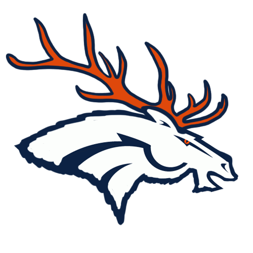 Denver Broncos Canadian Logos fabric transfer